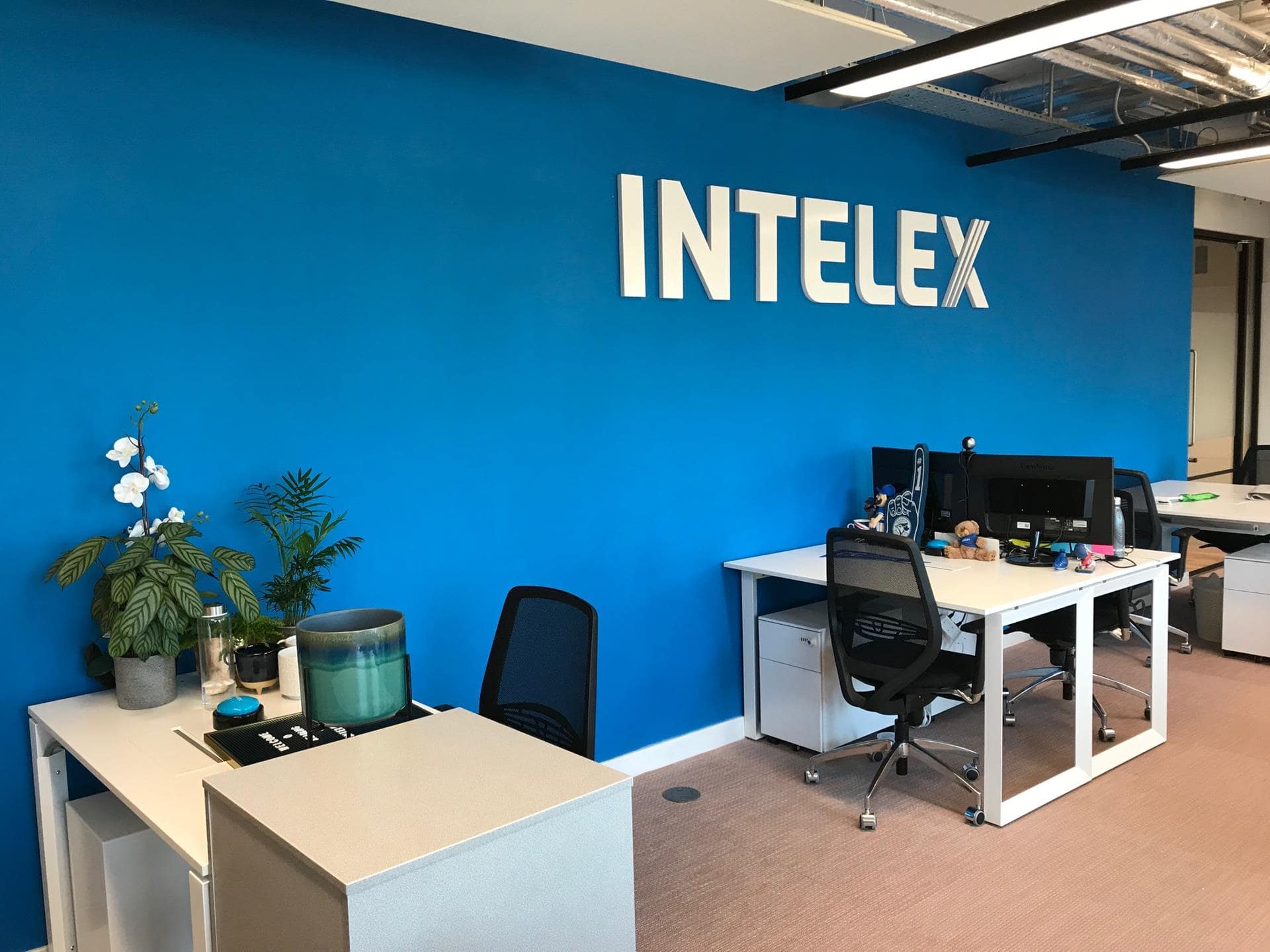 Interior Office Signage for Intelex in Reading
