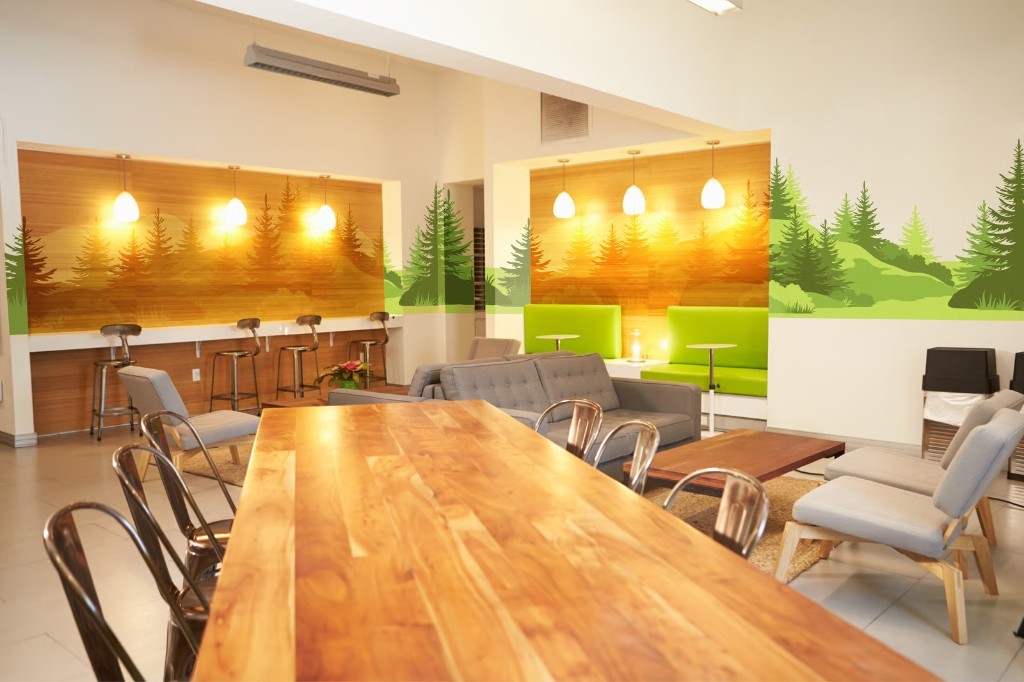 Forest wall murals in a modern office lounge and breakout space