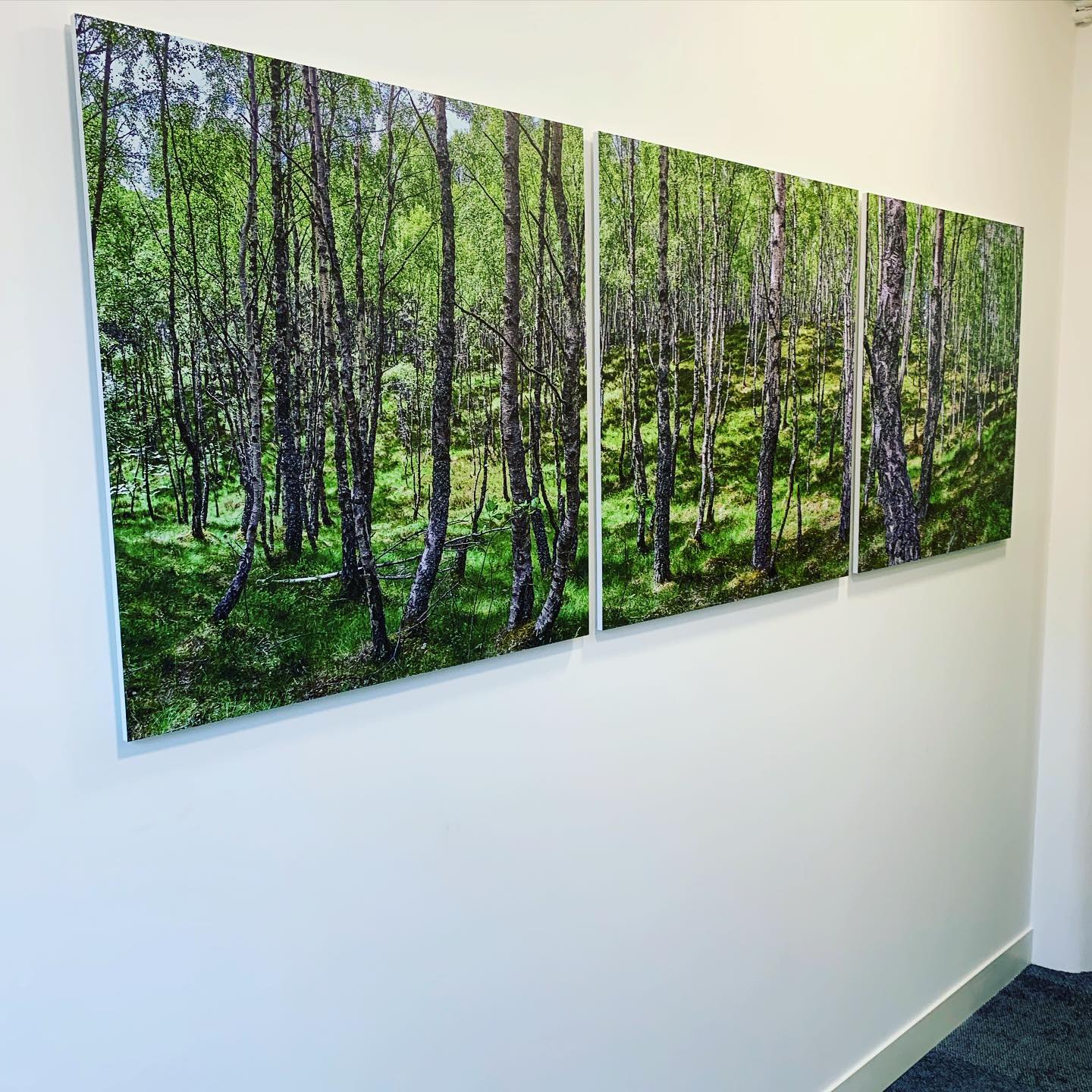 Interior graphics in London.