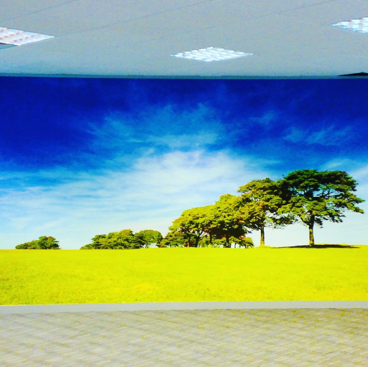 Interior graphics in London.