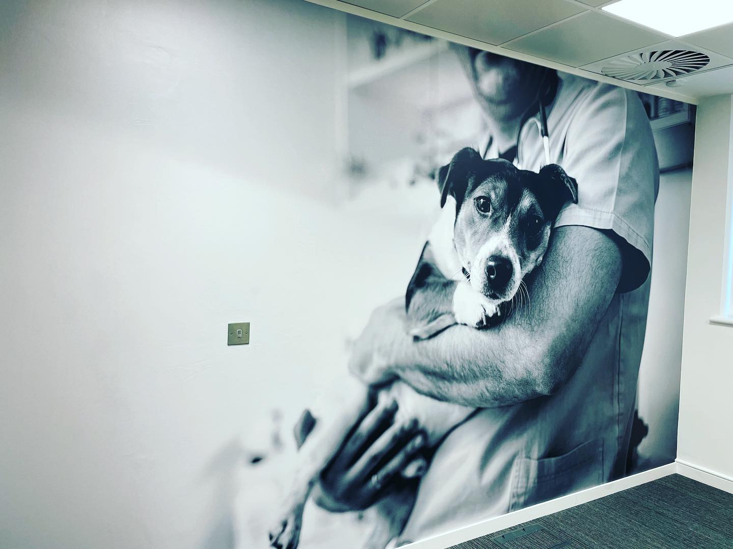 Interior graphics in Windsor.