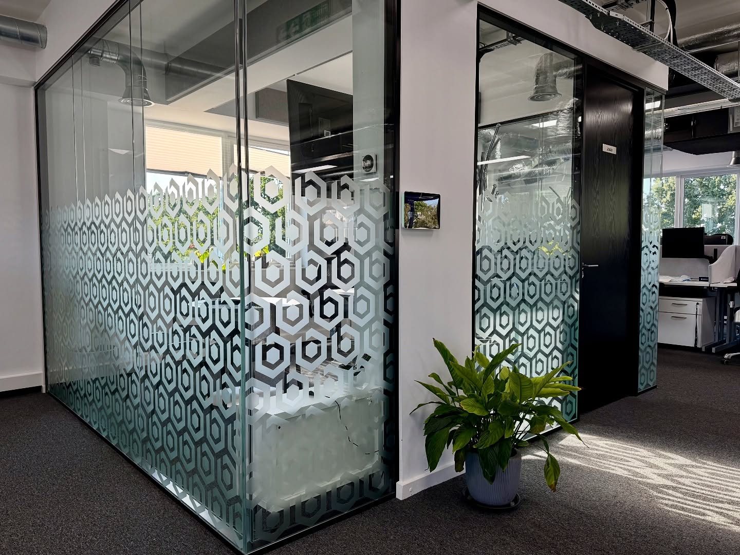 Window graphics.