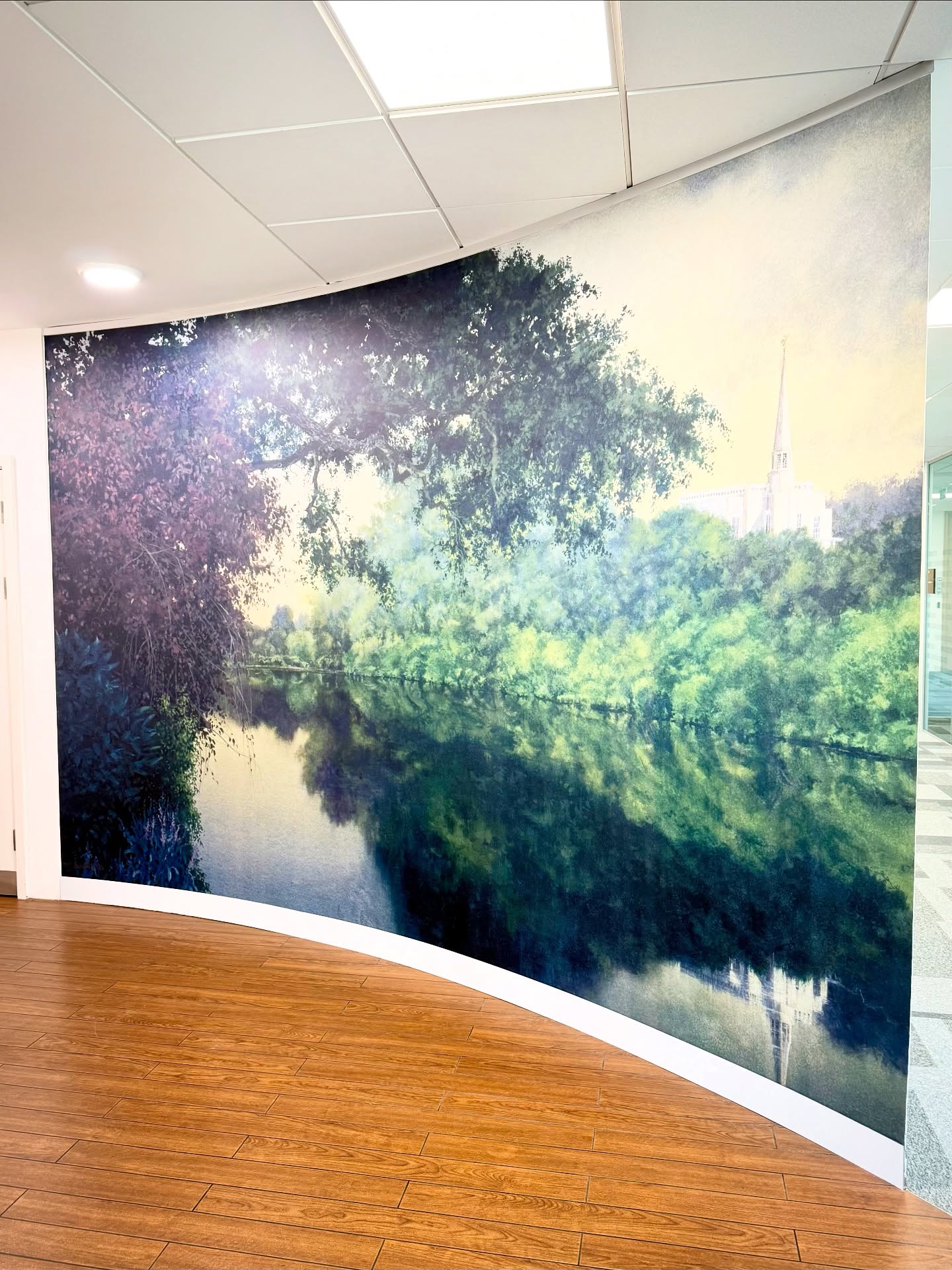 Wall covering in High Wycombe